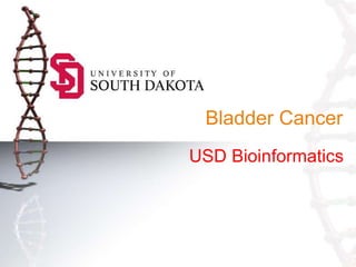 Bladder Cancer
USD Bioinformatics
 