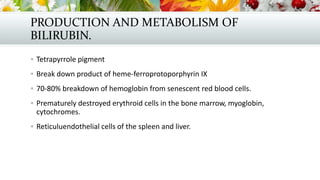 PRODUCTION AND METABOLISM OF
BILIRUBIN.
 Tetrapyrrole pigment
 Break down product of heme-ferroprotoporphyrin IX
 70-80% breakdown of hemoglobin from senescent red blood cells.
 Prematurely destroyed erythroid cells in the bone marrow, myoglobin,

cytochromes.
 Reticuluendothelial cells of the spleen and liver.

 