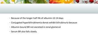  Because of the longer half life of albumin-12-14 days
 Conjugated hyperbilirubinemia donot exhibit bilirubinuria because
 Albumin bound BR not excreted in renal glomeruli
 Serum BR also falls slowly.

 