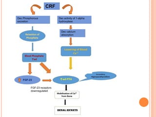 Clinical approach to rickets with special reference to renal rickets ...