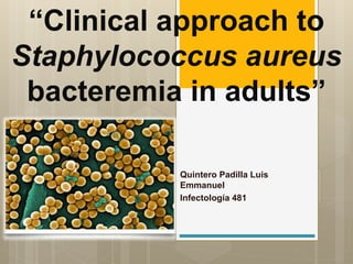 “Clinical approach to
Staphylococcus aureus
bacteremia in adults”
Quintero Padilla Luis
Emmanuel
Infectología 481
 