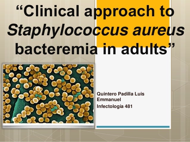 Staphylococcus Aureus In Adults – NYKG