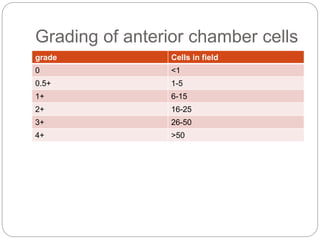 Grading of anterior chamber cells
grade Cells in field
0 <1
0.5+ 1-5
1+ 6-15
2+ 16-25
3+ 26-50
4+ >50
 