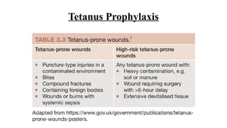 clinical approach to wounds - .ppt The Basics | PPTX
