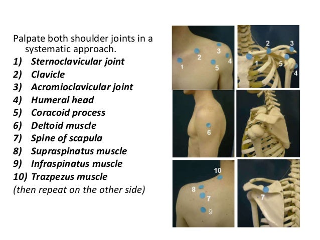 Clinical approch to rheumatological examination