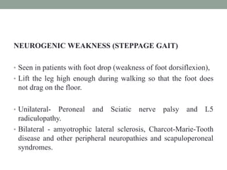 NEUROGENIC WEAKNESS (STEPPAGE GAIT)
• Seen in patients with foot drop (weakness of foot dorsiflexion),
• Lift the leg high enough during walking so that the foot does
not drag on the floor.
• Unilateral- Peroneal and Sciatic nerve palsy and L5
radiculopathy.
• Bilateral - amyotrophic lateral sclerosis, Charcot-Marie-Tooth
disease and other peripheral neuropathies and scapuloperoneal
syndromes.
 