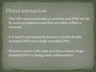  It the hit causes complete break or permanent damage
of DNA these cells die or eventually die
 However humans have abun...
