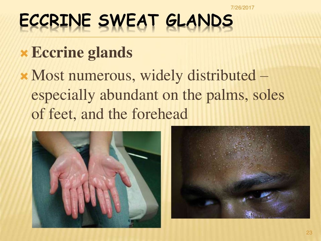 Clinical Aspects Of Swedana And Its Mode Of Action