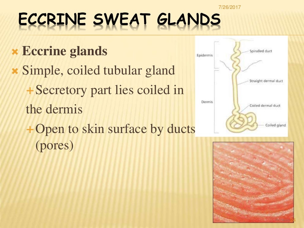 Clinical Aspects Of Swedana And Its Mode Of Action