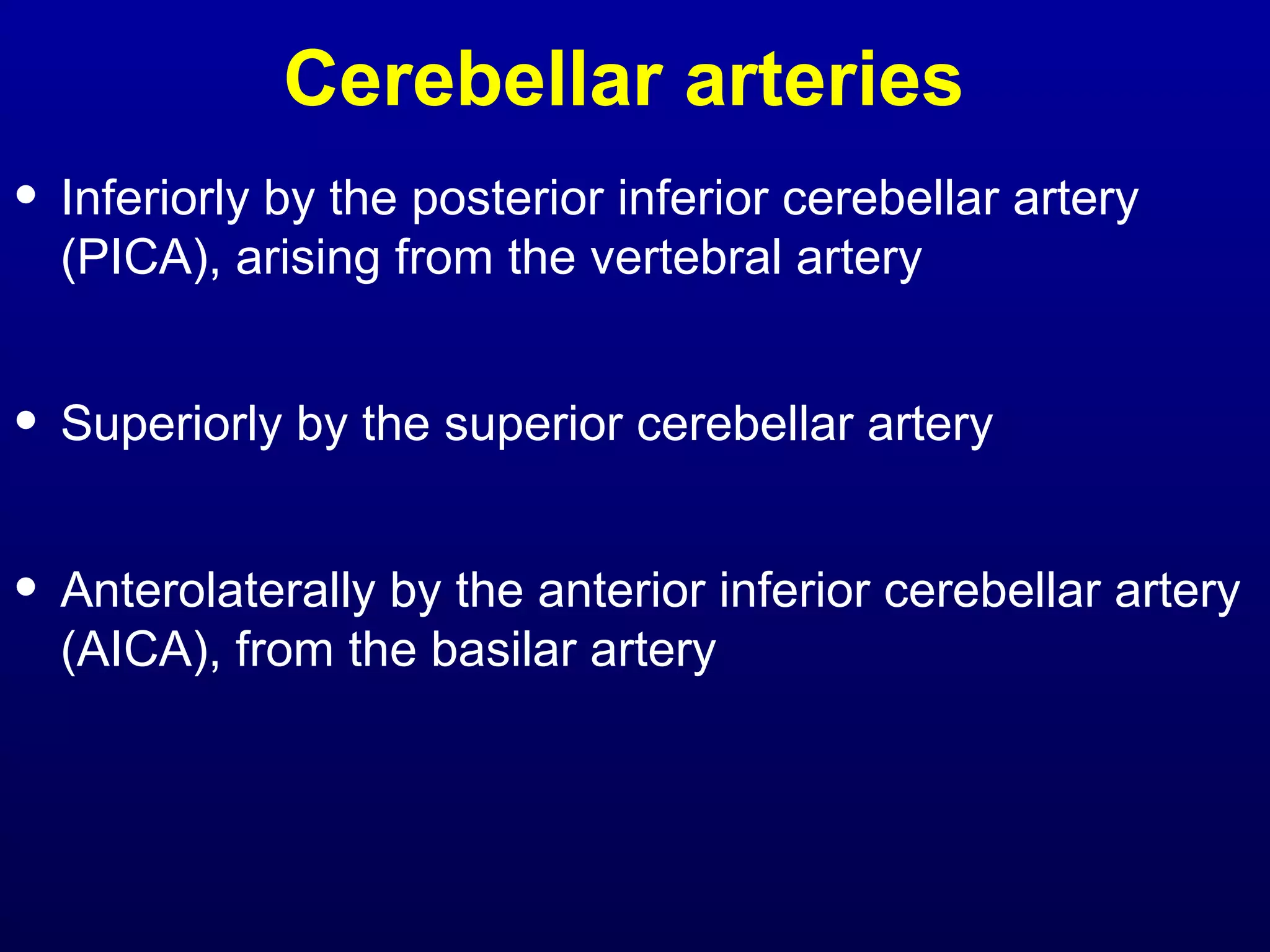 Cerebellar arteries 
• Inferiorly by the posterior inferior cerebellar artery 
(PICA), arising from the vertebral artery 
• Superiorly by the superior cerebellar artery 
• Anterolaterally by the anterior inferior cerebellar artery 
(AICA), from the basilar artery 
 