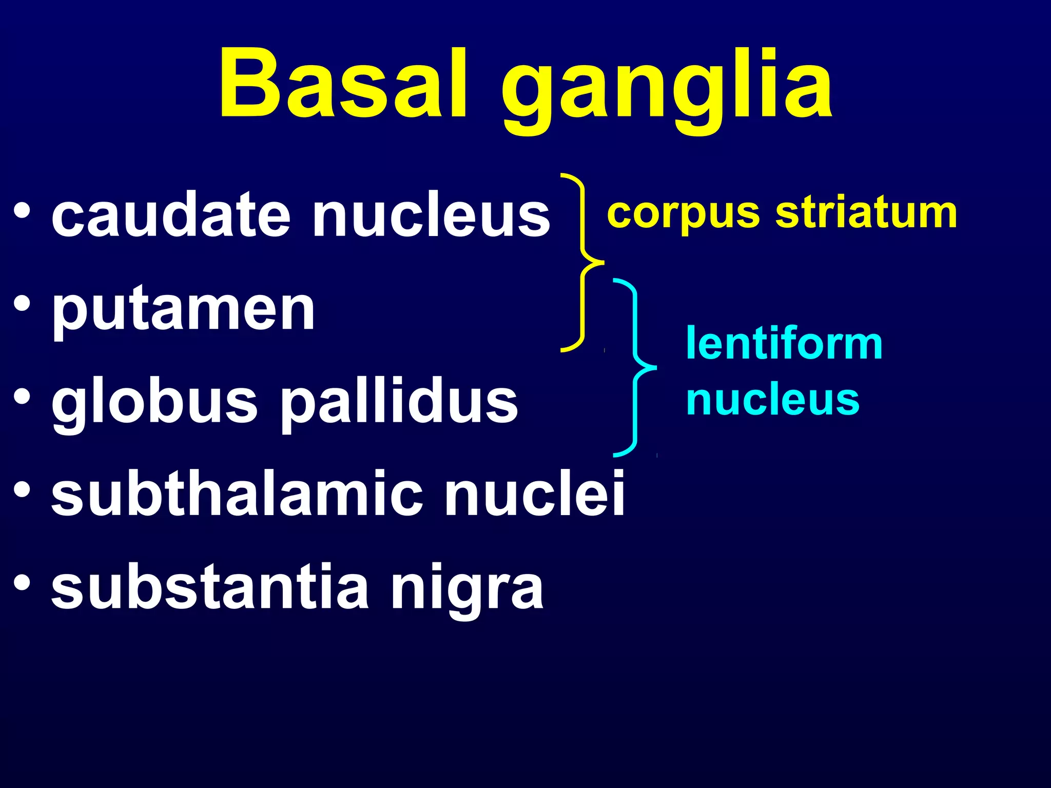 Basal ganglia 
• caudate nucleus 
• putamen 
• globus pallidus 
• subthalamic nuclei 
• substantia nigra 
corpus striatum 
lentiform 
nucleus 
 
