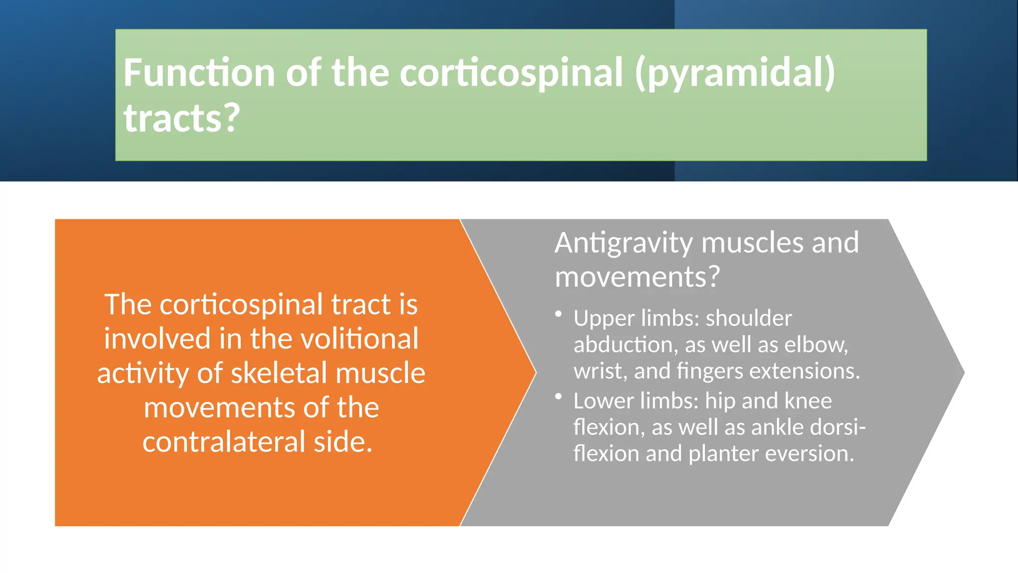 Clinical Aspects of Upper and Lower Motor Neuron Lesions | PPTX