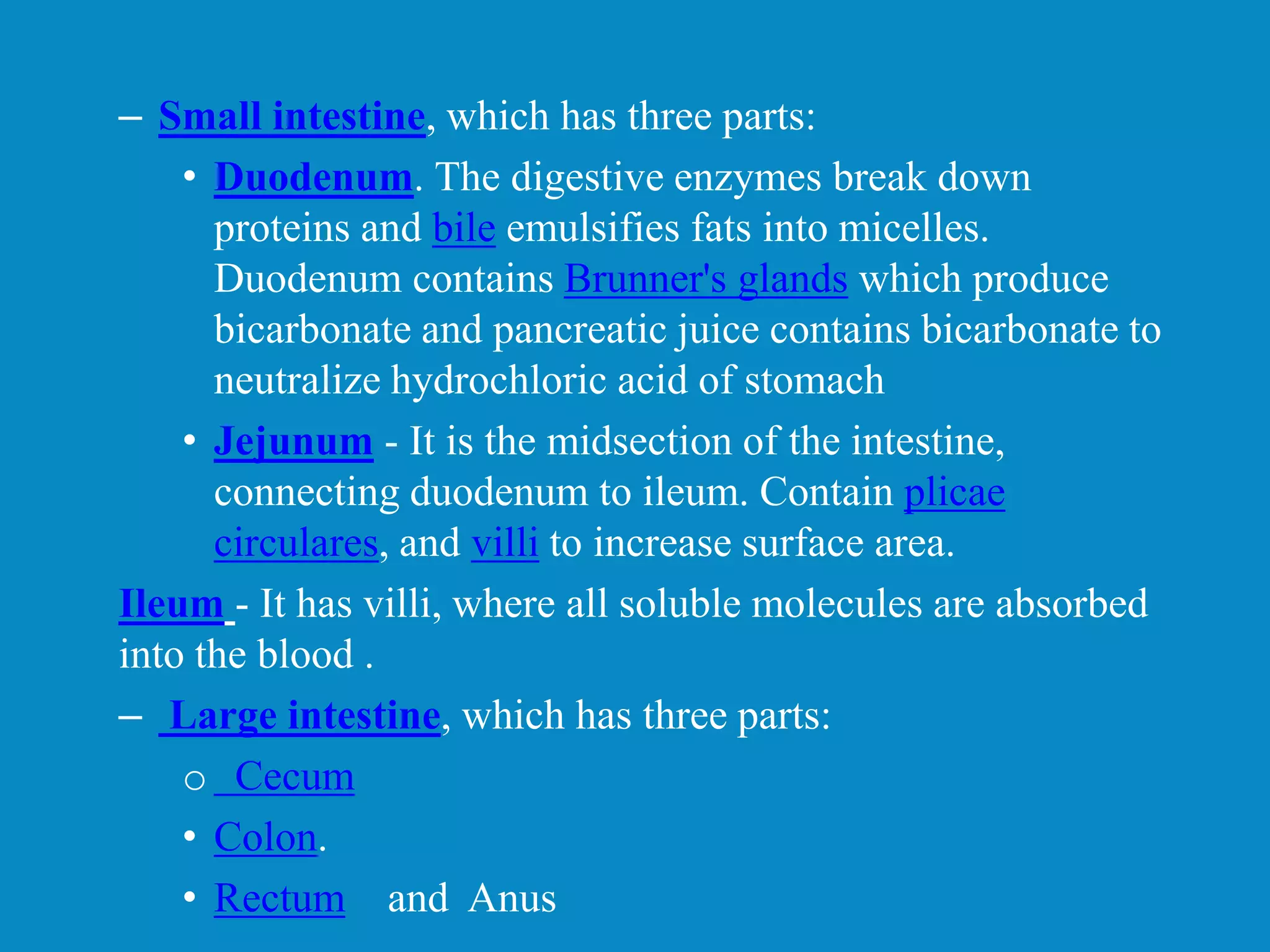 – Small intestine, which has three parts:
• Duodenum. The digestive enzymes break down
proteins and bile emulsifies fats into micelles.
Duodenum contains Brunner's glands which produce
bicarbonate and pancreatic juice contains bicarbonate to
neutralize hydrochloric acid of stomach
• Jejunum - It is the midsection of the intestine,
connecting duodenum to ileum. Contain plicae
circulares, and villi to increase surface area.
Ileum - It has villi, where all soluble molecules are absorbed
into the blood .
– Large intestine, which has three parts:
o Cecum
• Colon.
• Rectum and Anus
 