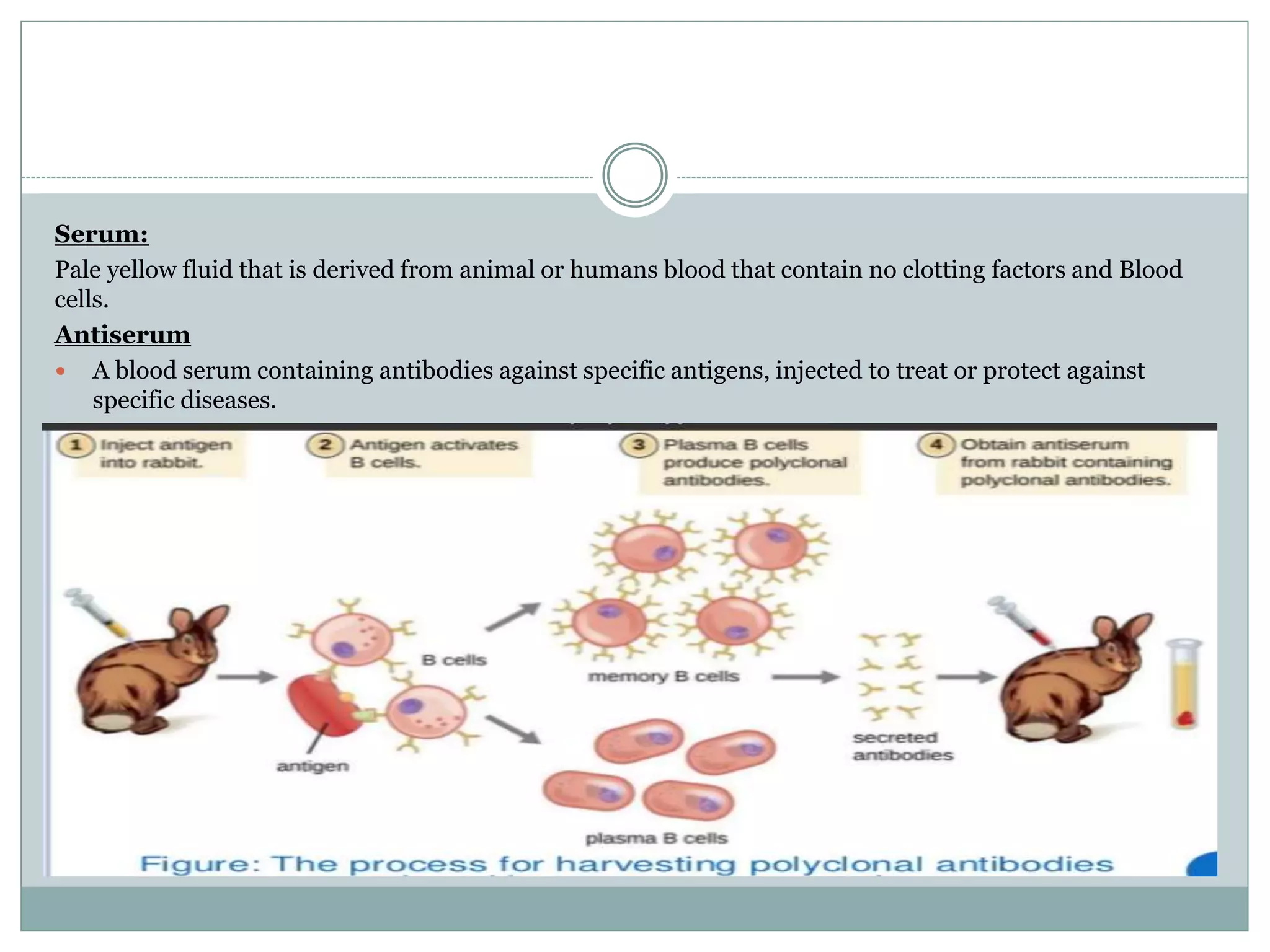 Clinical bacteriology, Clinical Microbiology, Microbiology, Laboratory saftey and techniques PPT
