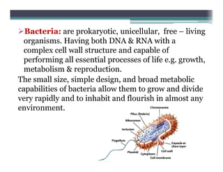 Bacteria: are prokaryotic, unicellular, free – living
organisms. Having both DNA & RNA with a
complex cell wall structure and capable of
performing all essential processes of life e.g. growth,
metabolism & reproduction.
The small size, simple design, and broad metabolic
capabilities of bacteria allow them to grow and divide
very rapidly and to inhabit and flourish in almost any
environment.
 