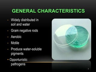 Motile Rods Clinical bactriology and Medical | PPTX