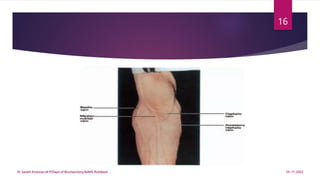 25-11-2022
Dr Sarath Krishnan M P/Dept of Biochemistry/AIIMS Rishikesh
16
 