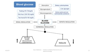 Blood glucose
Fasting (70-110mg/dl)
One hour (120-150 mg/dl)
Two hours(70-140 mg/dl)
Dietary carbohydrates
Liver glycogen
Amino acids and non
carbohydrate-substance
Absorption
Gluconeogenesis
Glycogenolysis
BLOOD
GLUCOSE
HORMONAL REGULATION
HEPATIC REGULATION
RENAL REGULATION
INSULIN
Glucagon
Growth
Glucocorticoids
Catecholamines
8/15/23
Aaser Abdelazim ---- Professor of Medical Biochemistry and
Molecular Biology
12
 