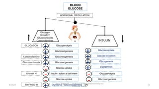 BLOOD
GLUCOSE
HORMONAL REGULATION
Glucagon
Growth H
Glucocorticoids
Catecholamines INSULIN
Glucose uptake
Glucose oxidation
Glycogenesis
+
+
+ Lipogenesis
+ Glycogenolysis
Gluconeogenesis
-
-
Glycogenolysis
Gluconeogenesis
+
+
GLUCAGON
Catecholamine Gluconeogenesis
+ Gluconeogenesis
Glucose uptake
+
-
Glucocorticoids
Insulin action at cell mem
Glucose uptake
-
-
Growth H
THYROID H Glycolysis / Gluconeogenesis
+ ?!
8/15/23
Aaser Abdelazim ---- Professor of Medical Biochemistry and
Molecular Biology
13
 