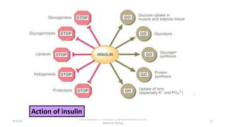 8/15/23 22
Aaser Abdelazim ---- Professor of Medical Biochemistry and
Molecular Biology
Action of insulin
 