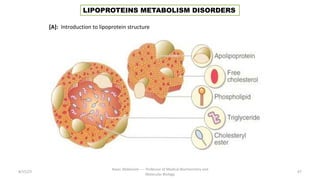 8/15/23 67
Aaser Abdelazim ---- Professor of Medical Biochemistry and
Molecular Biology
LIPOPROTEINS METABOLISM DISORDERS
[A]: Introduction to lipoprotein structure
 
