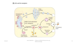 8/15/23 72
Aaser Abdelazim ---- Professor of Medical Biochemistry and
Molecular Biology
[f]: LDL and its receptors
 