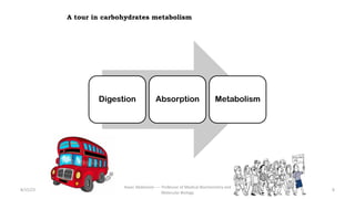 A tour in carbohydrates metabolism
Digestion Absorption Metabolism
8/15/23
Aaser Abdelazim ---- Professor of Medical Biochemistry and
Molecular Biology
8
 