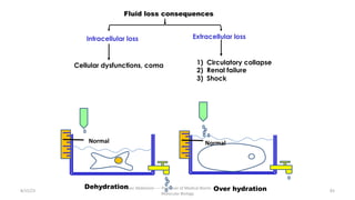 8/15/23
Aaser Abdelazim ---- Professor of Medical Biochemistry and
Molecular Biology
83
Fluid loss consequences
Intracellular loss Extracellular loss
Cellular dysfunctions, coma 1) Circulatory collapse
2) Renal failure
3) Shock
Normal Normal
Over hydration
Dehydration
 