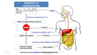 Digestion of
carbohydrates
60% of our food [starch,
glycogen, sucrose, lactose, and
cellulose]
Salivary α-amylase (pH 6-7)
Mouth
stomach
Pancreas
Pancreatic α-amylase (pH 7.1)
Maltose /isomaltose/starch dextrins
Maltose /isomaltose
Small intestine
Lactase/sucrase/maltase/α-dextrinase
Cocktail of sugars
[monosacchrides]
We have not β-glucosidase so cellulose passes as such
8/15/23
Aaser Abdelazim ---- Professor of Medical Biochemistry and
Molecular Biology
9
 