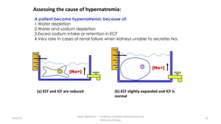 8/15/23
Aaser Abdelazim ---- Professor of Medical Biochemistry and
Molecular Biology
92
Assessing the cause of hypernatremia:
A patient become hypernatremic because of:
1.Water depletion
2.Water and sodium depletion
3.Excess sodium intake or retention in ECF
4.Very rare in cases of renal failure when kidneys unable to secretes Na.
[Na+]
[Na+]
(a) ECF and ICF are reduced (b) ECF slightly expanded and ICF is
normal
 