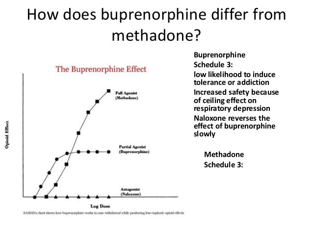 Clinical Aspects Of Buprenorphine Therapy In The Hiv Primary