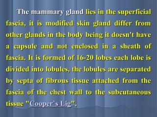 The mammary glandThe mammary gland lies in the superficiallies in the superficial
fascia, it is modified skin gland differ fromfascia, it is modified skin gland differ from
other glands in the body being it doesn't haveother glands in the body being it doesn't have
a capsule and not enclosed in a sheath ofa capsule and not enclosed in a sheath of
fascia. It is formed of 16-20 lobes each lobe isfascia. It is formed of 16-20 lobes each lobe is
divided into lobules, the lobules are separateddivided into lobules, the lobules are separated
by septa of fibrous tissue attached from theby septa of fibrous tissue attached from the
fascia of the chest wall to the subcutaneousfascia of the chest wall to the subcutaneous
tissue "tissue "Cooper`sCooper`s LigLig".".
 
