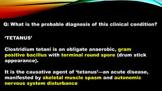 Q: What is the probable diagnosis of this clinical condition?
‘TETANUS’
Clostridium tetani is an obligate anaerobic, gram
positive bacillus with terminal round spore (drum stick
appearance).
™
It is the causative agent of ‘tetanus’—an acute disease,
manifested by skeletal muscle spasm and autonomic
nervous system disturbance
 