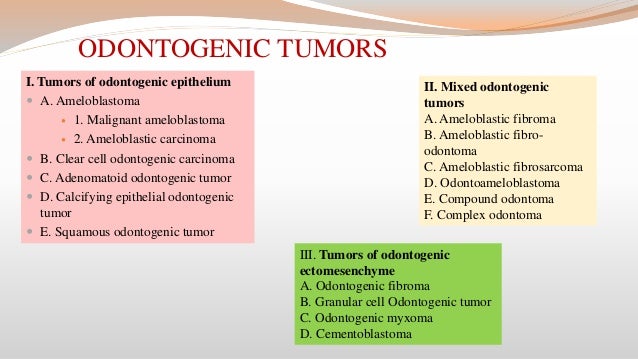 Clinical consideration in tooth development, eruption and  Clinical consideration in tooth development, eruption and