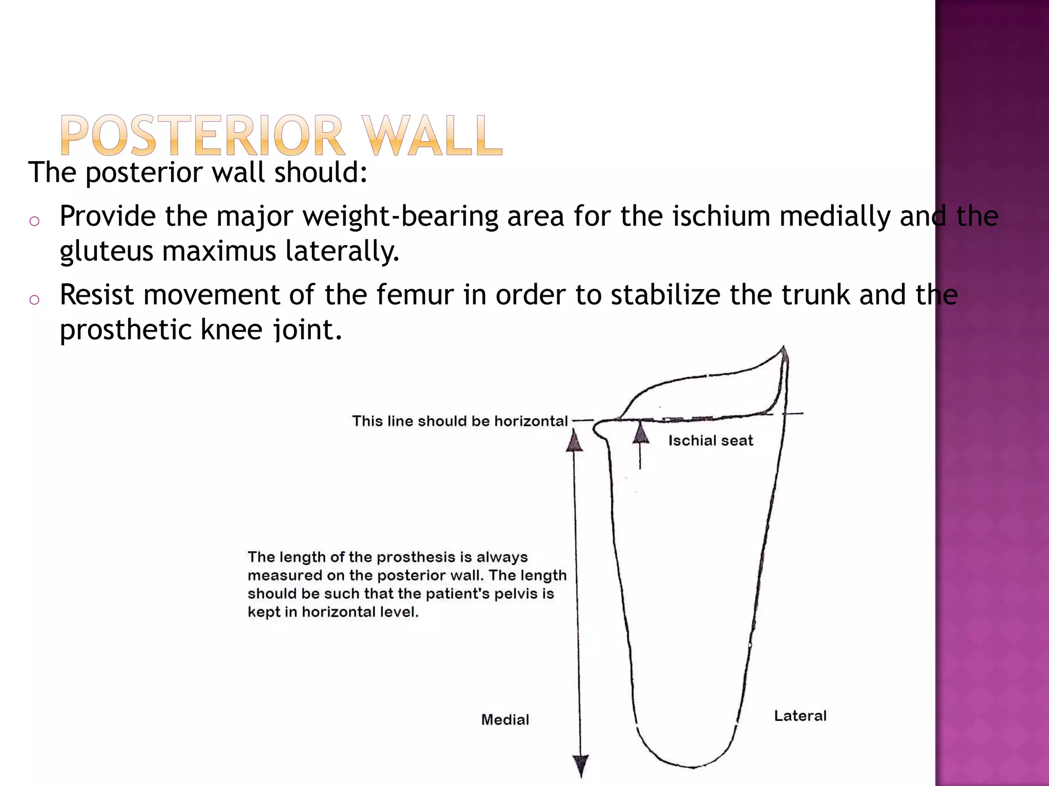 The posterior wall should:
o Provide the major weight-bearing area for the ischium medially and the
gluteus maximus laterally.
o Resist movement of the femur in order to stabilize the trunk and the
prosthetic knee joint.
 