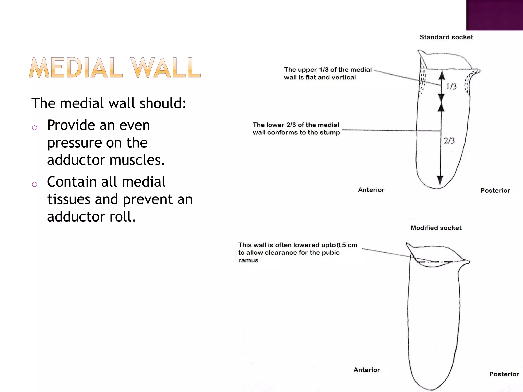 The medial wall should:
o Provide an even
pressure on the
adductor muscles.
o Contain all medial
tissues and prevent an
adductor roll.
 