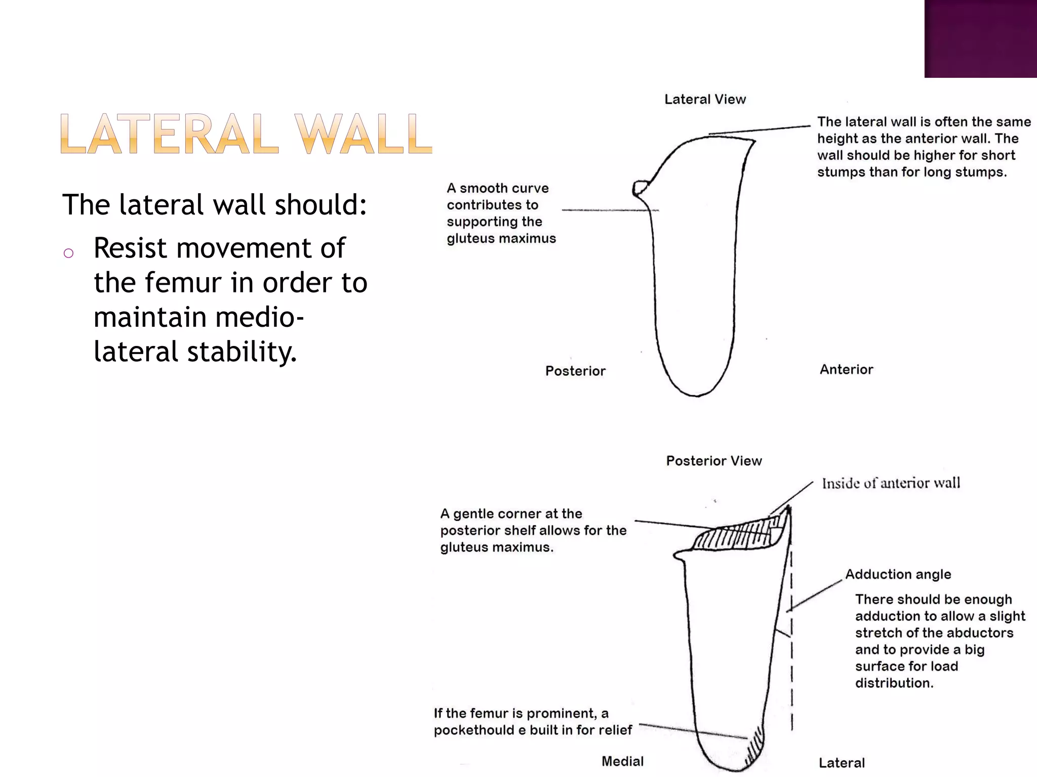 The lateral wall should:
o Resist movement of
the femur in order to
maintain medio-
lateral stability.
 
