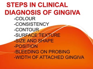 -COLOUR
-CONSISTENCY
-CONTOUR
-SURFACE TEXTURE
-SIZE AND SHAPE
-POSITION
-BLEEDING ON PROBING
-WIDTH OF ATTACHED GINGIVA
 