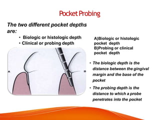 PocketProbing
The two different pocket depths
are:
• Biologic or histologic depth
• Clinical or probing depth
A)Biologic or histologic
pocket depth
B)Probing or clinical
pocket depth
• The biologic depth is the
distance between the gingival
margin and the base of the
pocket
• The probing depth is the
distance to which a probe
penetrates into the pocket
 