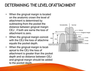 DETERMINING THE LEVELOFATTACHMENT
• When the gingival margin is located
on the anatomic crown the level of
attachment is determined by
subtracting from the pocket the
distance between gingival margin to
CEJ , if both are same the loss of
attachment is zero.
• When the gingival margin coincides
with the CEJ the loss of attachment
equals the pocket depth.
• When the gingival margin is located
apical to the CEJ the loss of
attachment is greater than the pocket
depth and so distance between CEJ
and gingival margin should be added
to the pocket depth.
 