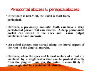 Periodontal abscess & periapicalabscess
• If the tooth is non-vital, the lesion is most likely
periapical.
• However, a previously non-vital tooth can have a deep
periodontal pocket that can abscess. A deep periodontal
pocket can extend to the apex and cause pulpal
involvement and necrosis.
• An apical abscess may spread along the lateral aspect of
the root to the gingival margin.
• However, when the apex and lateral surface of a root are
involved by a single lesion that can be probed directly
from the gingival margin, the lesion is more likely to
have originated in a periodontal abscess.
 