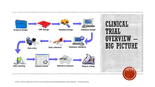 Comprehensive Guide to Clinical Data Management in Research | PDF