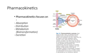 Pharmacokinetics
• Pharmacokinetics focuses on
:
- Absorption
- Distribution
- Metabolism
(Biotransformation)
- Excretion
 