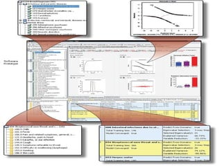 experience, solutions, results 