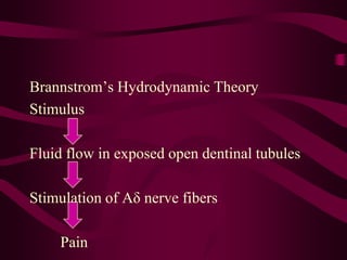Brannstrom’s Hydrodynamic Theory
Stimulus
Fluid flow in exposed open dentinal tubules
Stimulation of Aδ nerve fibers
Pain
 