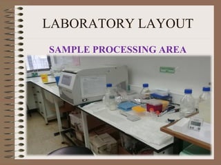 LABORATORY LAYOUT
SAMPLE PROCESSING AREA
 