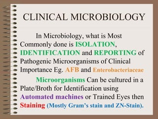 CLINICAL MICROBIOLOGY
In Microbiology, what is Most
Commonly done is ISOLATION,
IDENTIFICATION and REPORTING of
Pathogenic Microorganisms of Clinical
Importance Eg. AFB and Enterobacteriaceae
Microorganisms Can be cultured in a
Plate/Broth for Identification using
Automated machines or Trained Eyes then
Staining (Mostly Gram’s stain and ZN-Stain).
 