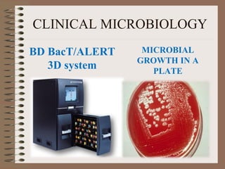 CLINICAL MICROBIOLOGY
BD BacT/ALERT
3D system
MICROBIAL
GROWTH IN A
PLATE
 