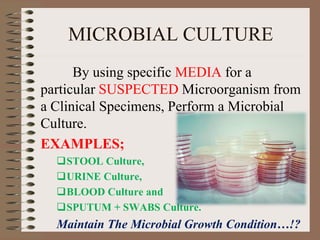 MICROBIAL CULTURE
By using specific MEDIA for a
particular SUSPECTED Microorganism from
a Clinical Specimens, Perform a Microbial
Culture.
EXAMPLES;
STOOL Culture,
URINE Culture,
BLOOD Culture and
SPUTUM + SWABS Culture.
Maintain The Microbial Growth Condition…!?
 