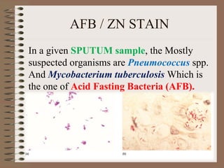 AFB / ZN STAIN
In a given SPUTUM sample, the Mostly
suspected organisms are Pneumococcus spp.
And Mycobacterium tuberculosis Which is
the one of Acid Fasting Bacteria (AFB).
 